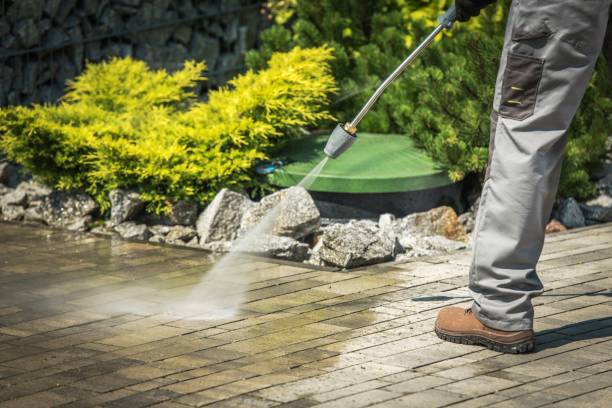Best Roof Cleaning and Mildew Removal in Glasco, NY